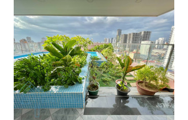 Apartment for rent 